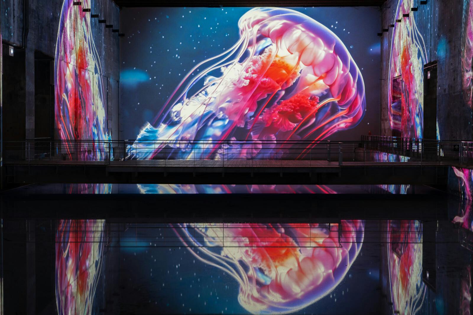 Meduses de colors projectades en una pantalla sobre una superfície d'aigua fosca i reflectant, creant un efecte mirall.