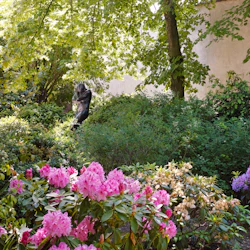 En frodig trädgård med blommande rosa och lila blommor, täta gröna bladverk och en staty av en person mitt i grönskan.