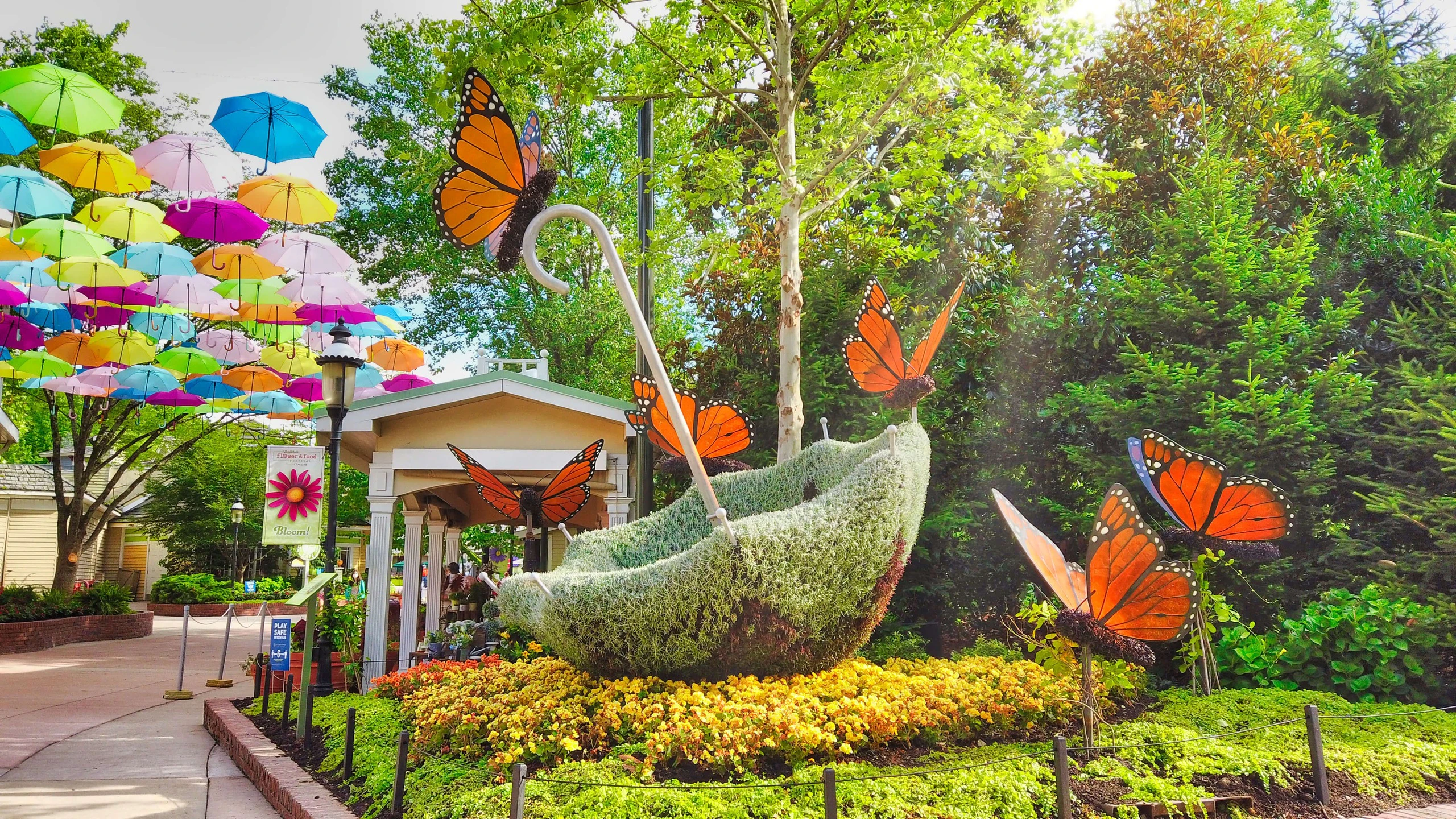 Dollywood: Day Trip from Nashville