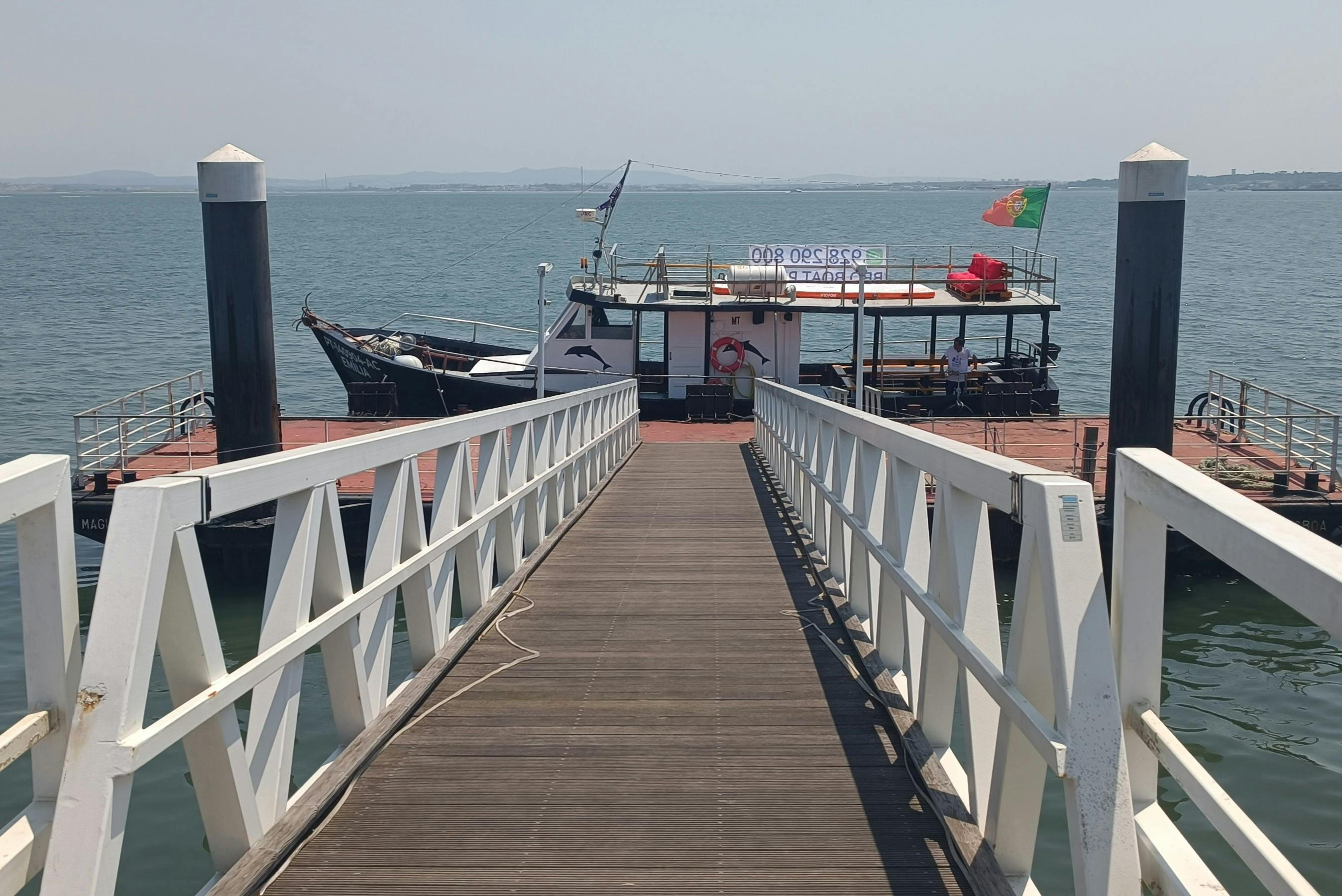 木造桟橋の端に停泊しているツアーボートで、そこにはスロープが通じています。 ボートには国旗と乗客が乗っています。