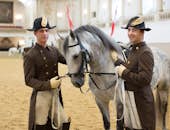 Treinamento de cavalos na Escola de Equitação Espanhola