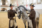 Treinamento de cavalos na Escola de Equitação Espanhola