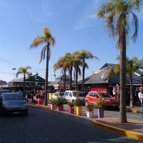 Tigre Delta: Small-Group Boat Tour