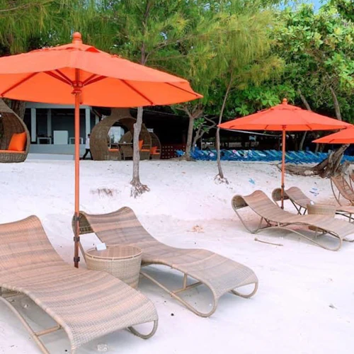 Coral & Racha Islands: Guided Speedboat Tour from Phuket + Lunch - Photo 17