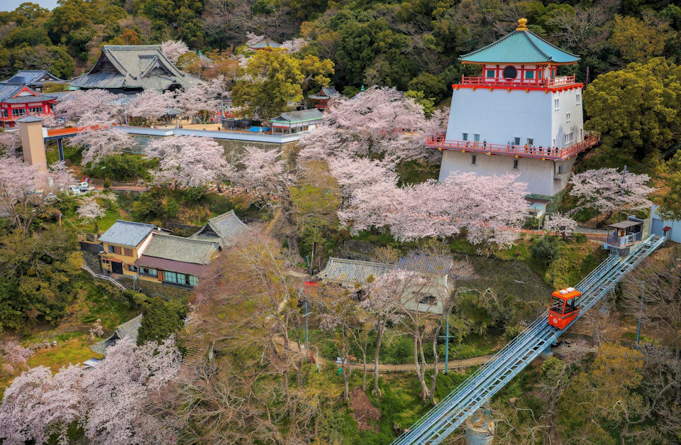 A scenic view of a hillside with cherry blossoms, traditional buildings, and a red-and-white structure with a peaked roof.