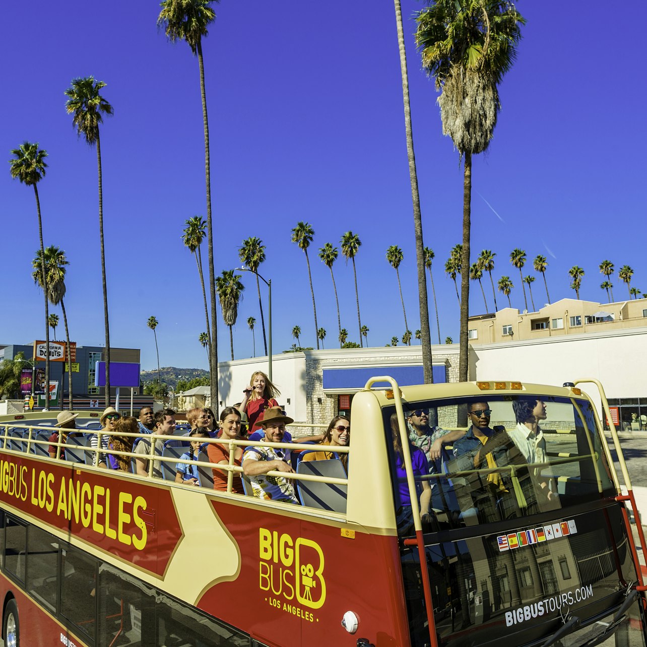 Bus turístico Los Ángeles - Alojamientos en Los Ángeles