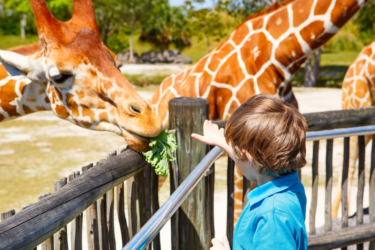 Zoo Miami: Skip the Entry Line Ticket - Accommodations in Miami