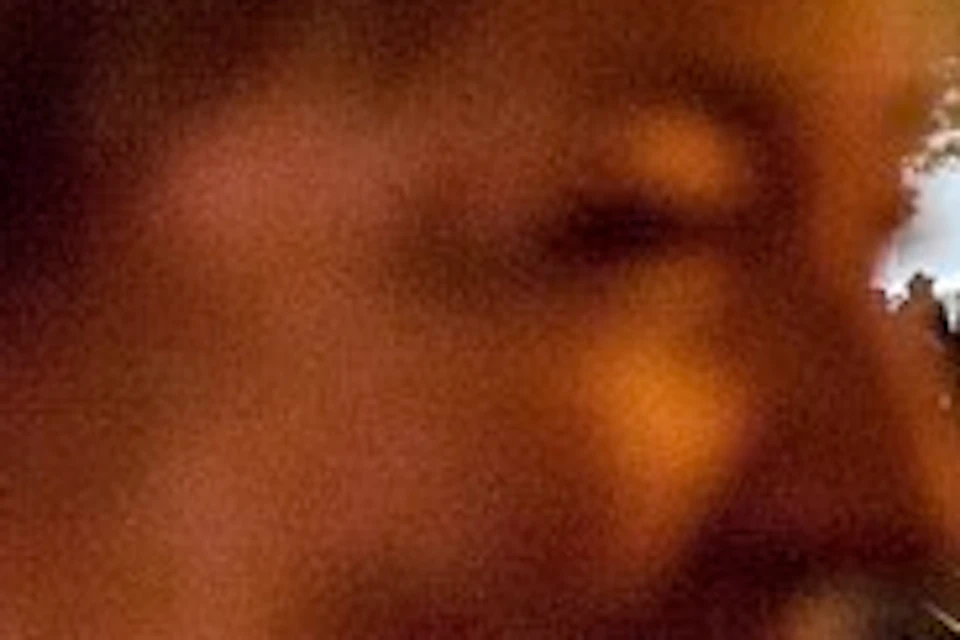 A person with blurred features is in the foreground with the Bellagio Hotel and nearby trees illuminated at night in the background.