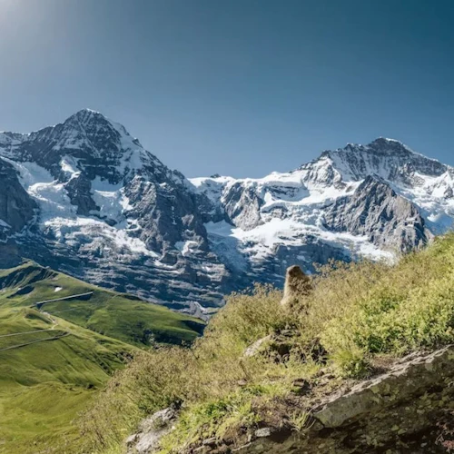 Jungfraujoch: Comboio de ida e volta a partir de Grindelwald - Photo 6