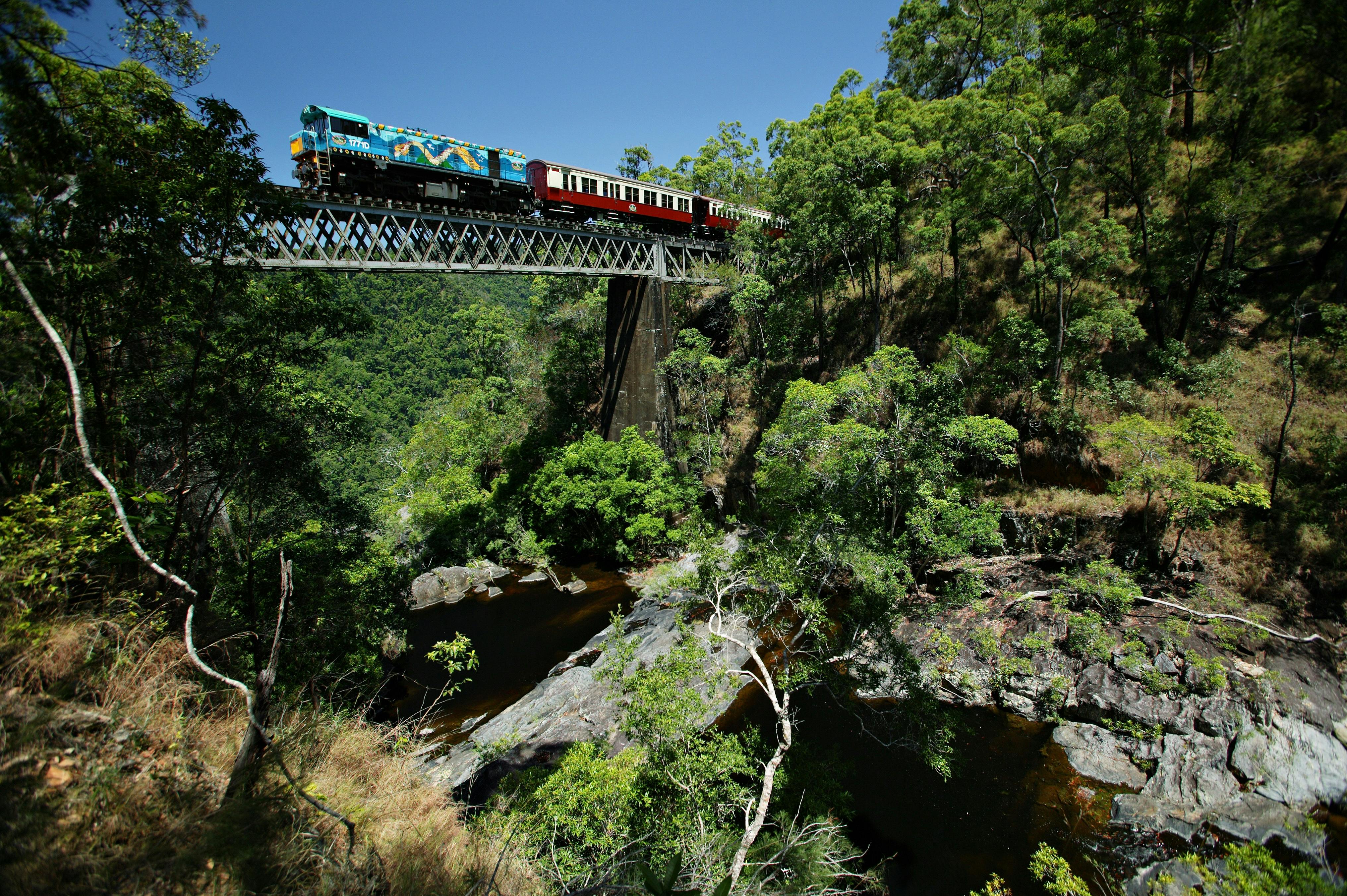 A colorful train crosses a narrow metal bridge above a rocky river in a dense, green forest on a clear day.