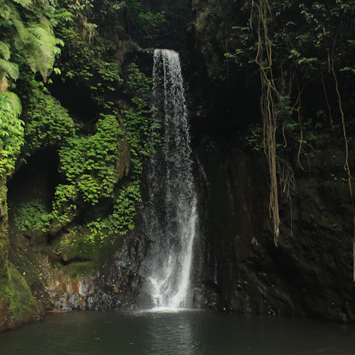 Bali: Canyoning + Transfer with Breakfast and Lunch - Photo 4