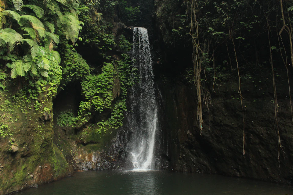 Access to untouched waterfall with rappelling.