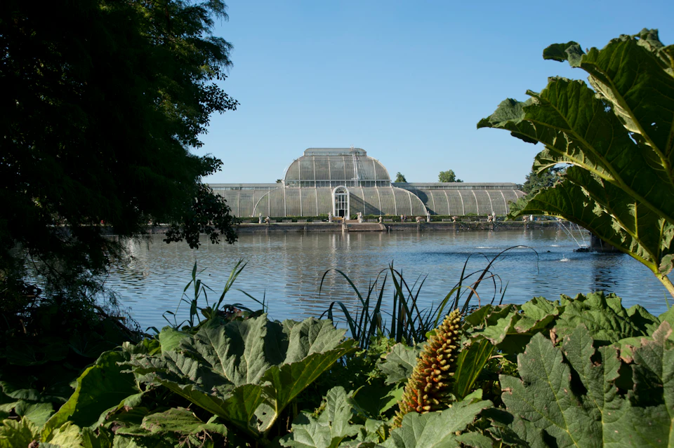 A large glass greenhouse is framed by greenery and overlooks a tranquil lake under a clear blue sky.
