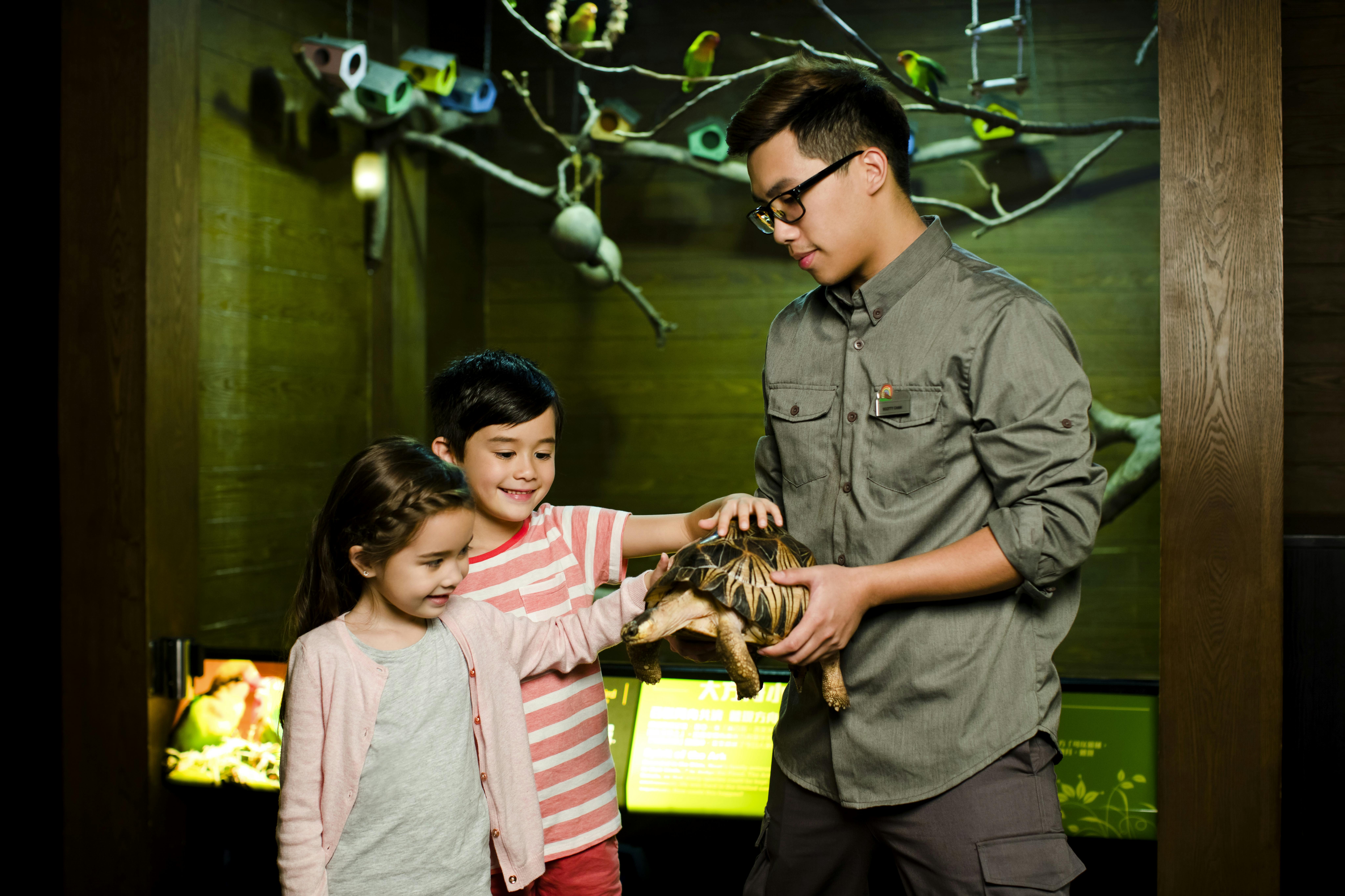 Двое детей гладят черепаху, которую держит мужчина, на закрытой выставке с птицами и ветками на заднем плане.