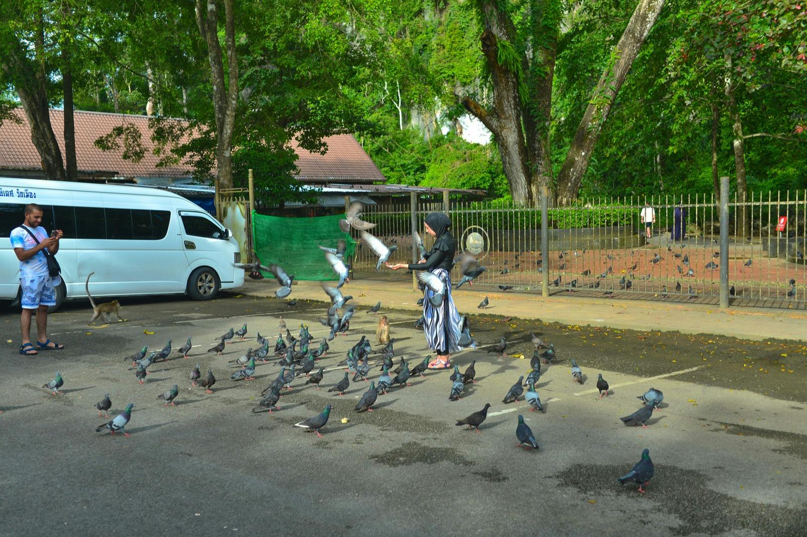 ジェームズ・ボンド島＆パンガー湾：プーケット発ロングテイルボートツアー＋送迎