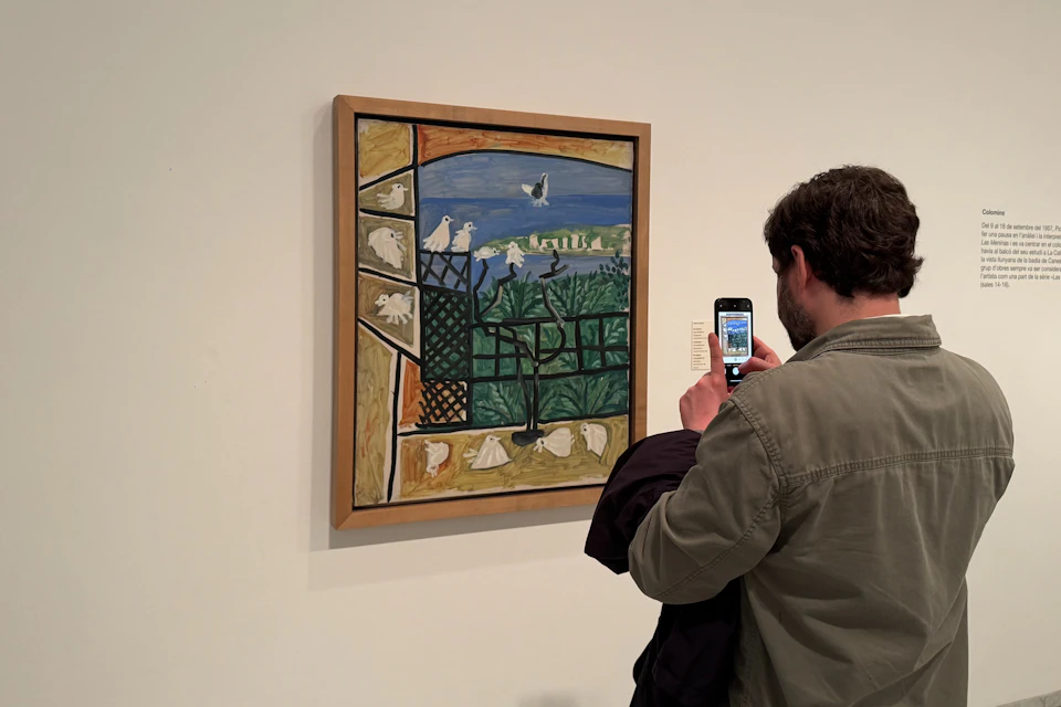 A visitor photographs Colombes, a Picasso painting featuring white doves and a blue Mediterranean landscape.