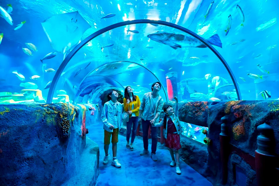 A family of four walks through an underwater tunnel in an aquarium, surrounded by fish and a vibrant blue underwater environment.