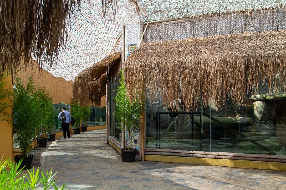 鉢植えの植物や茅葺きの屋根のある建物に囲まれた、織物の天蓋の下の湾曲した小道を歩いている人。