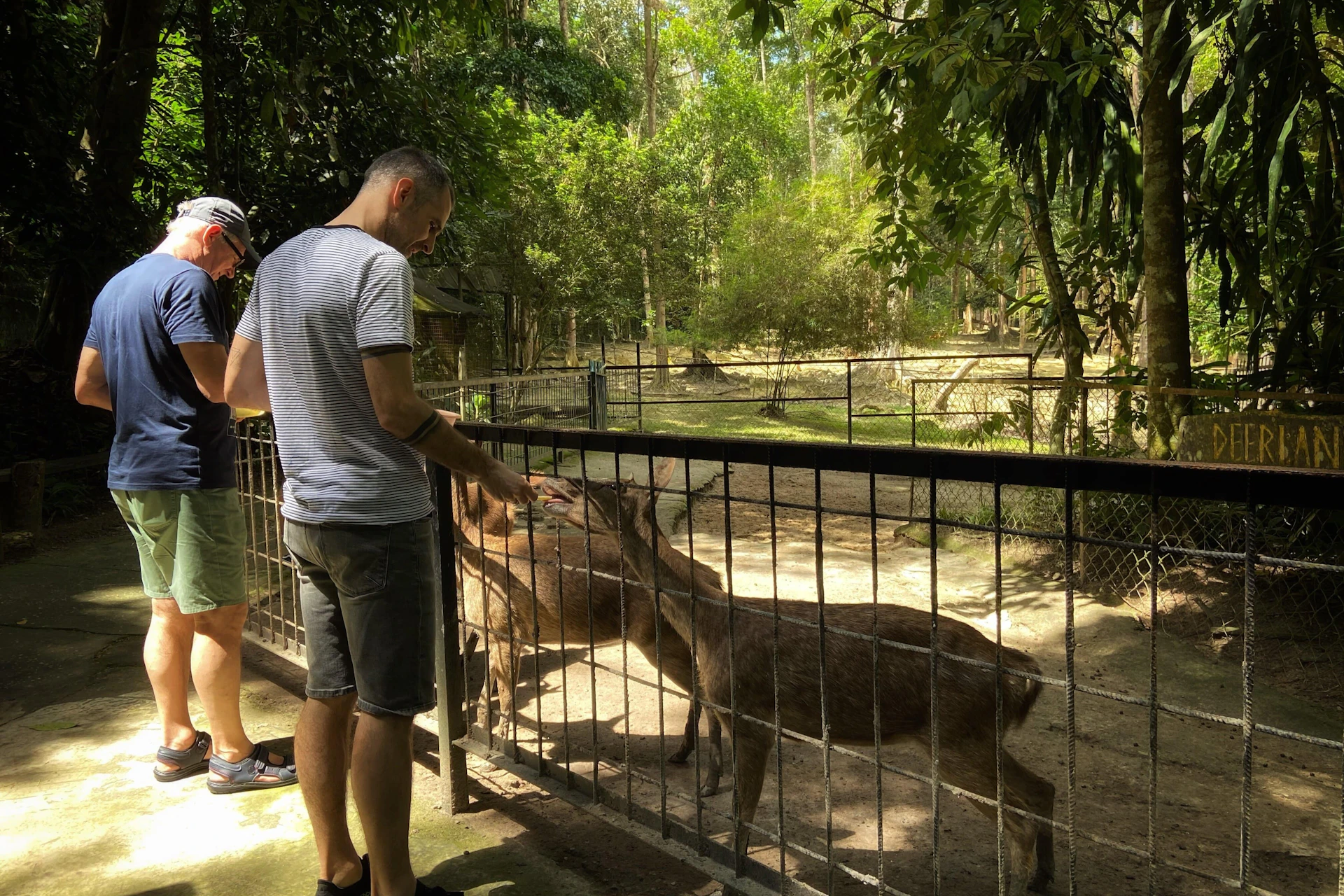 Kuala Gandah Elephant Sanctuary Tour - Share Tour-Join-In Tour