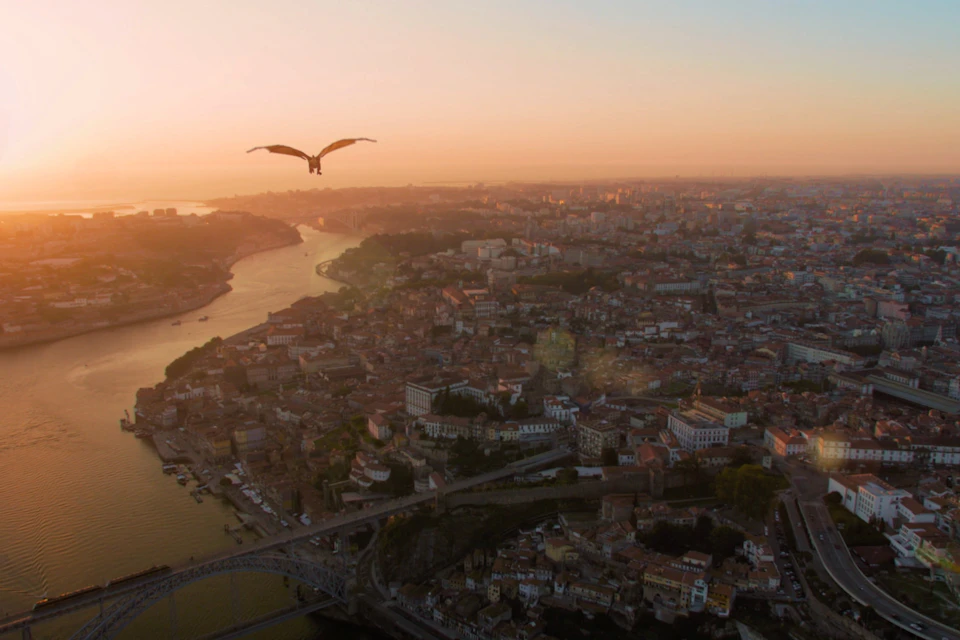 Porto Ctity