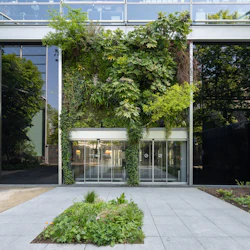 Vue du mur végétal surplombant l'entrée du bâtiment, Fondation Cartier pour l'art contemporain, boulevard Raspail, Paris