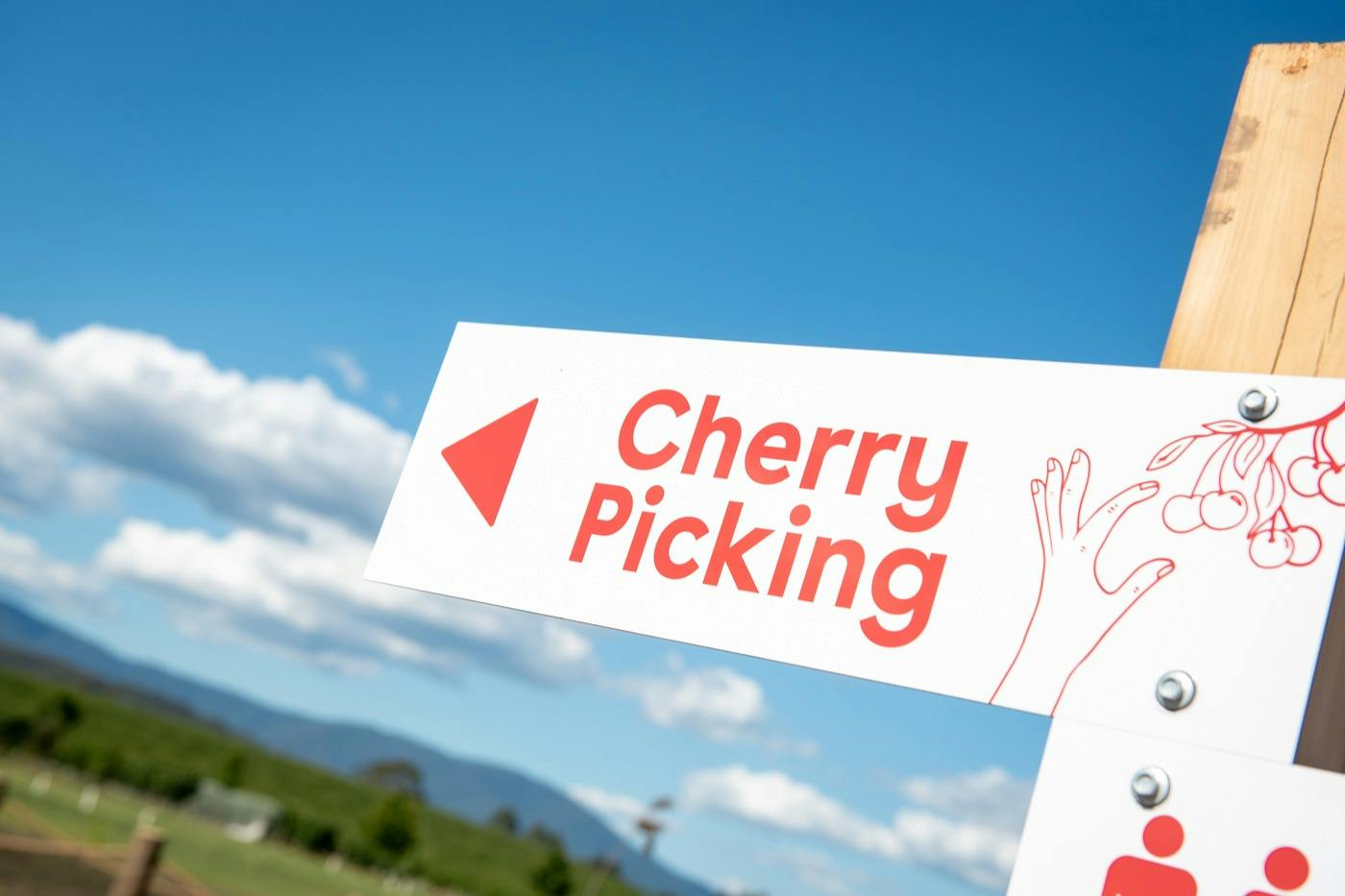 A sign reading 'Cherry Picking' with an arrow pointing left, set against a blue sky with clouds and a distant landscape.