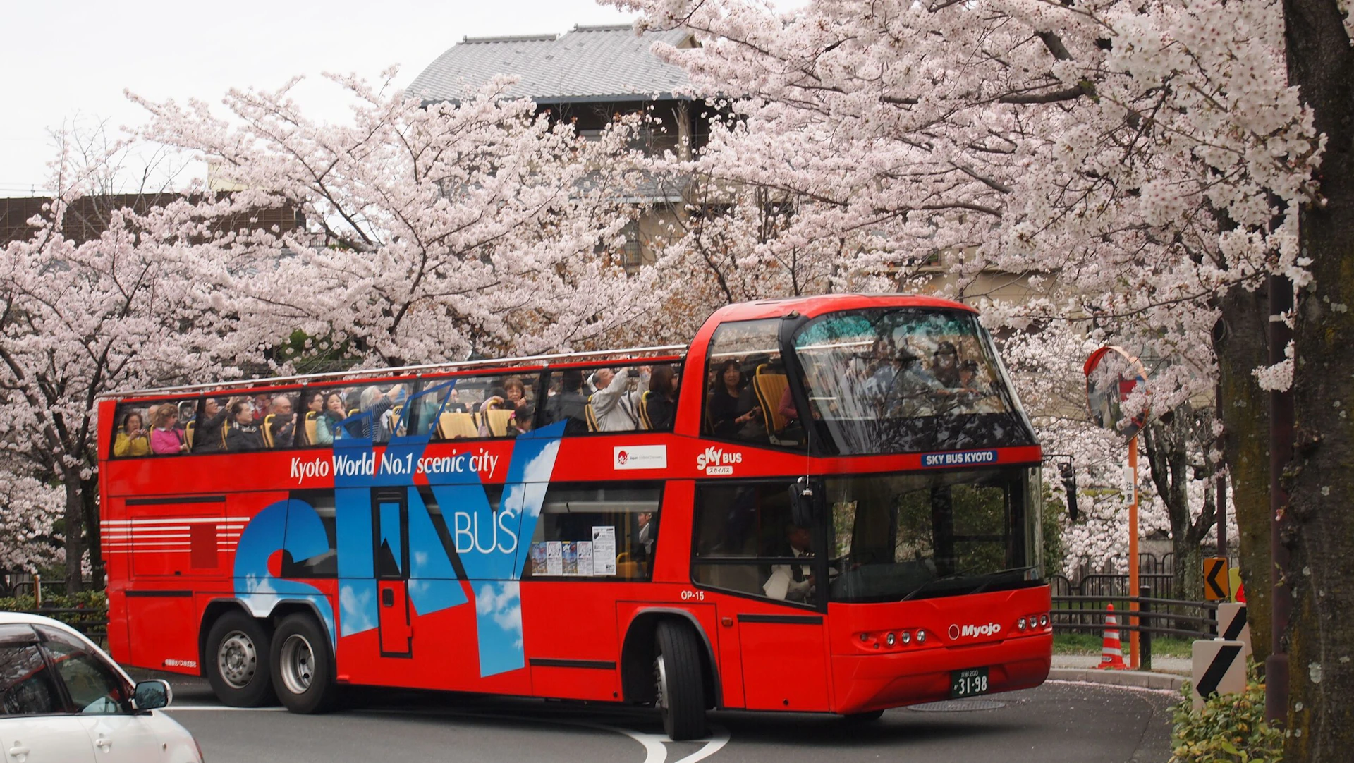 A red double-decker bus labeled "Kyoto World No.1 scenic city" passes by blooming cherry blossoms. Passengers are seated on both levels.
