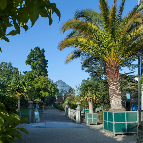 Hortus Botanicus Leiden: Skip The Line Ticket