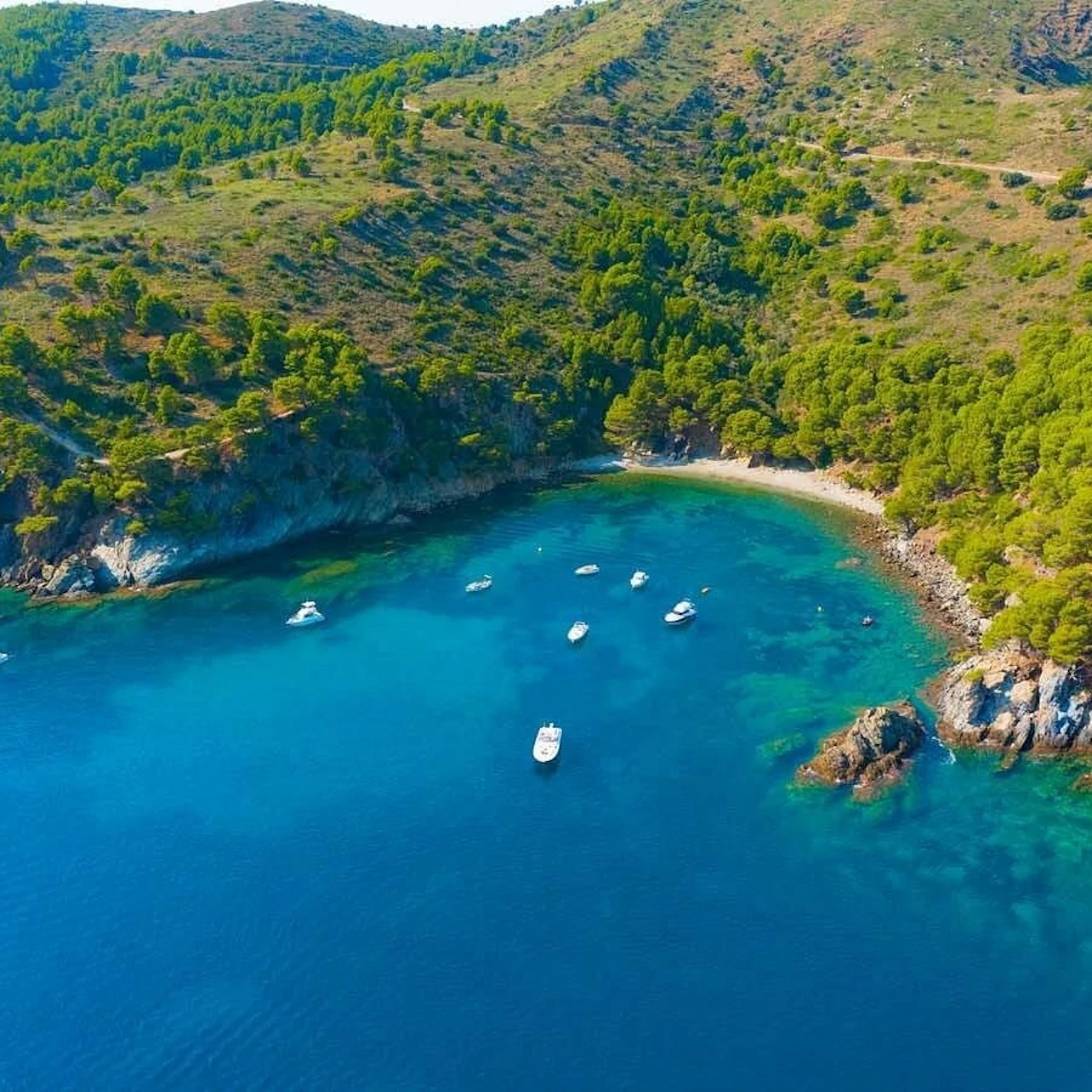 Aerial view of a cove with turquoise water, surrounded by forested hills. Several boats float in the water.
