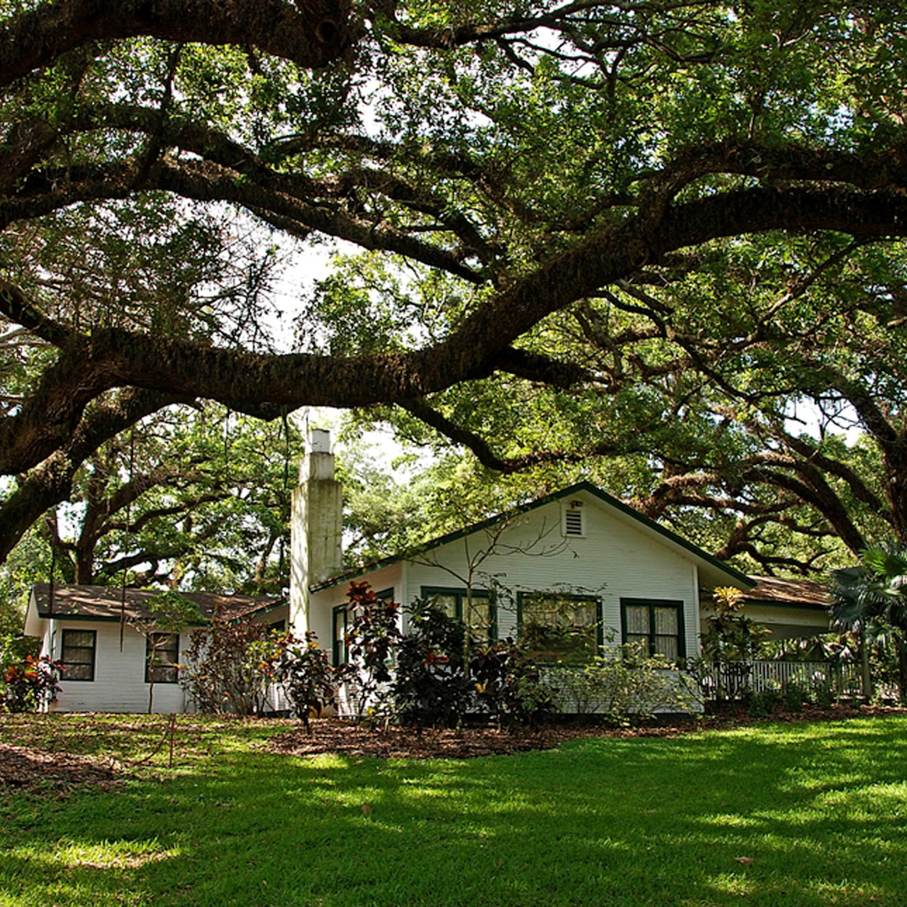 Flamingo Gardens: Skip The Line Ticket in Davie β Tiqets