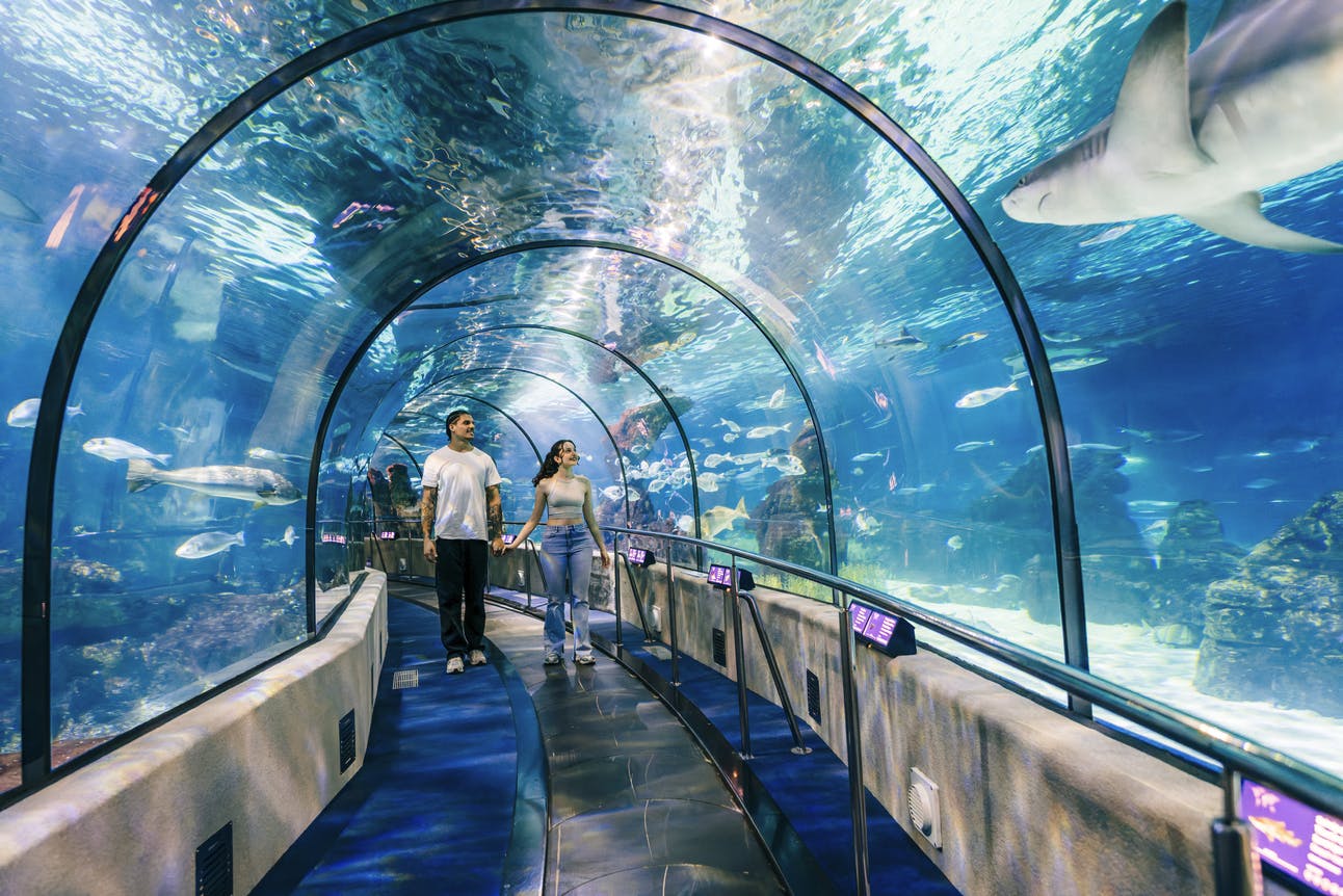 Barcelona Aquarium: Flexi-Ticket