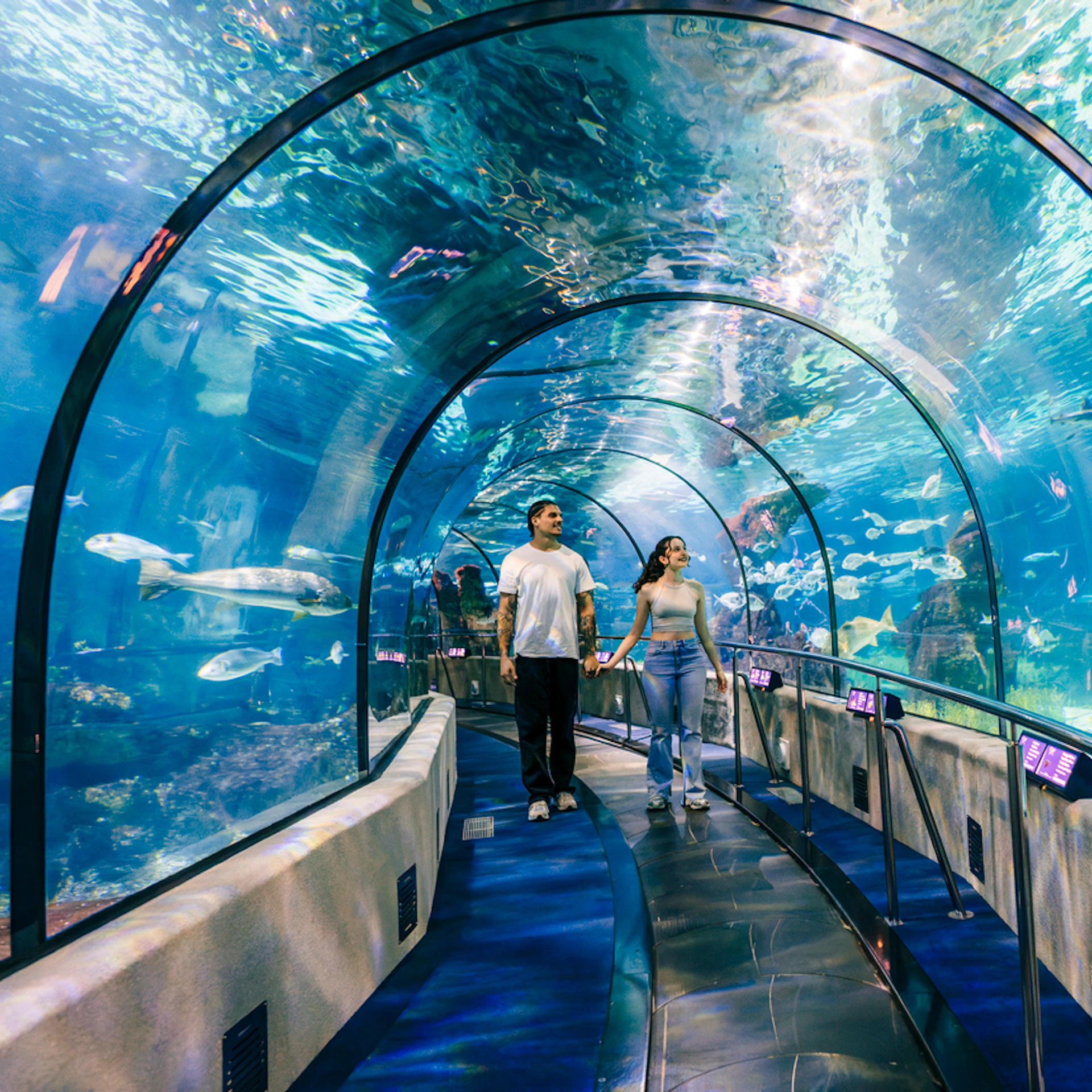 L'Aquàrium de Barcelona: Flexi-Ticket