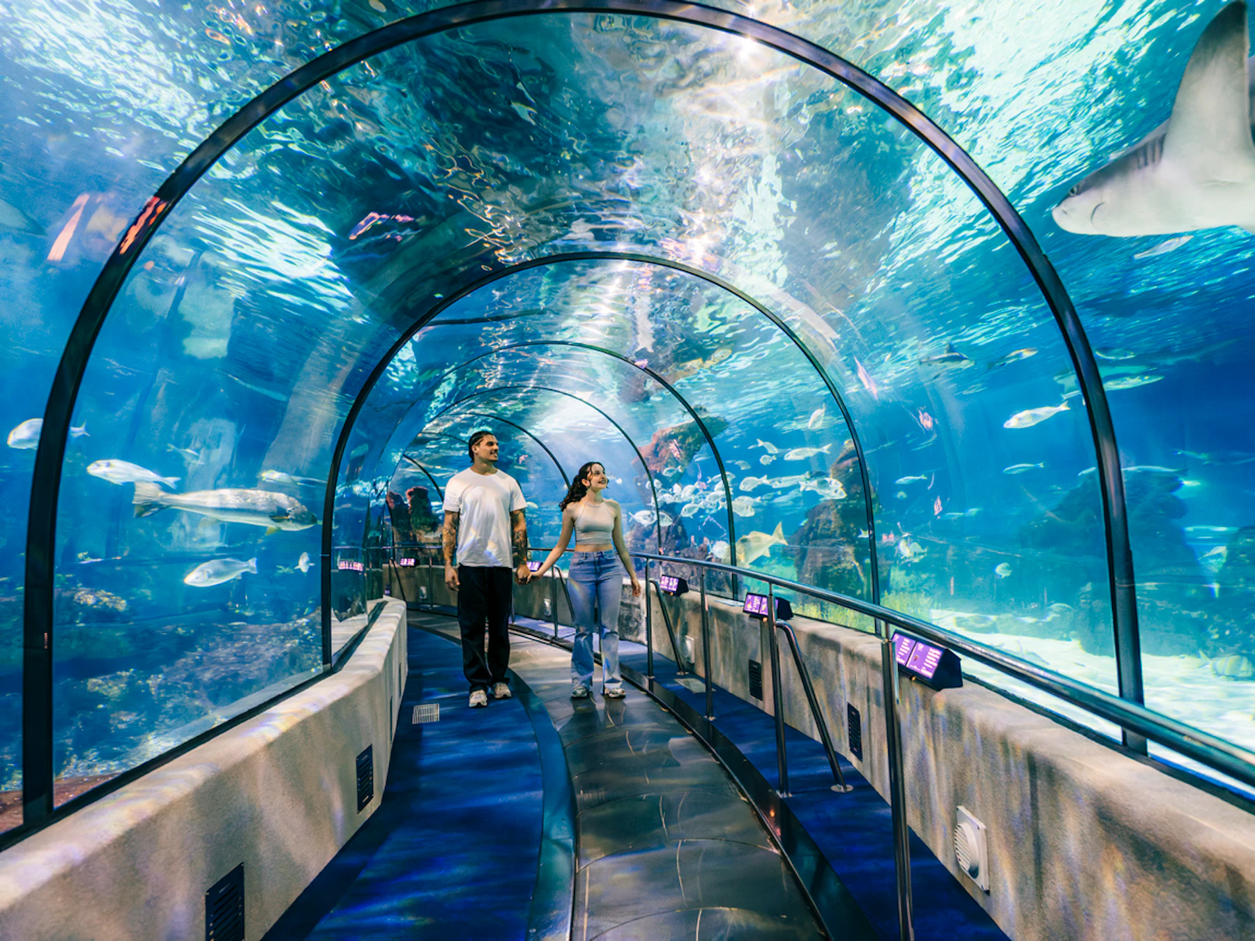 Barcelona Aquarium: Flexi-Ticket