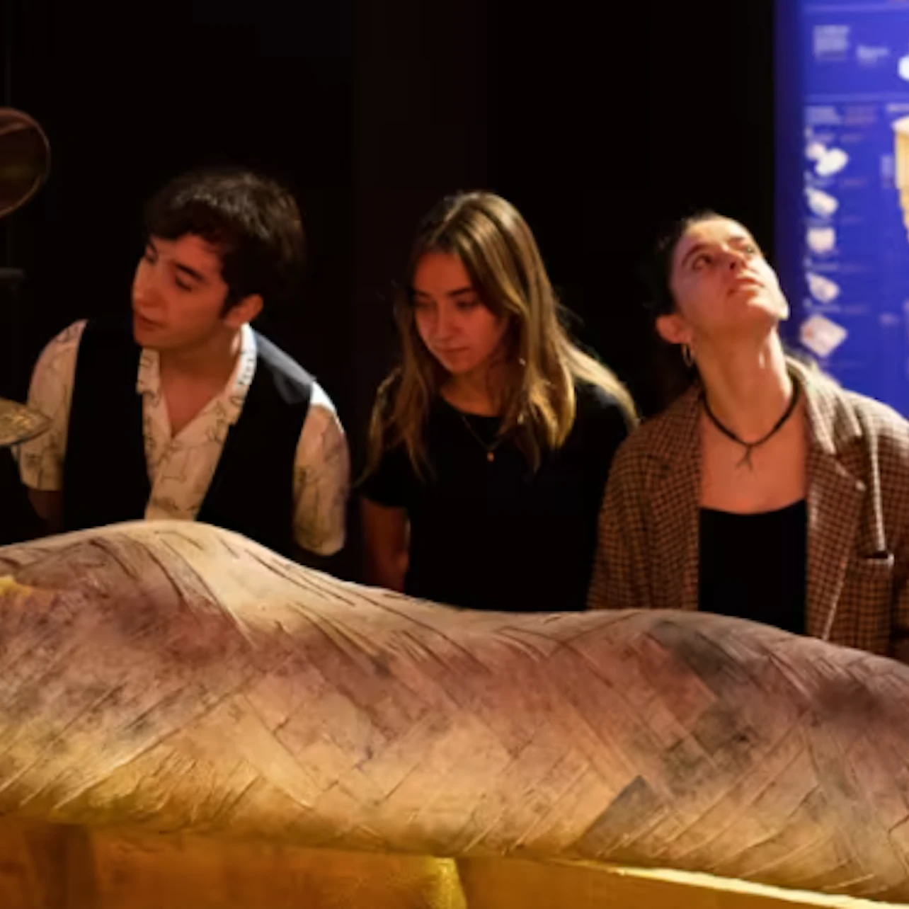 Stockholm: Tutankhamun - The Immersive Exhibition in Stockholm β Tiqets