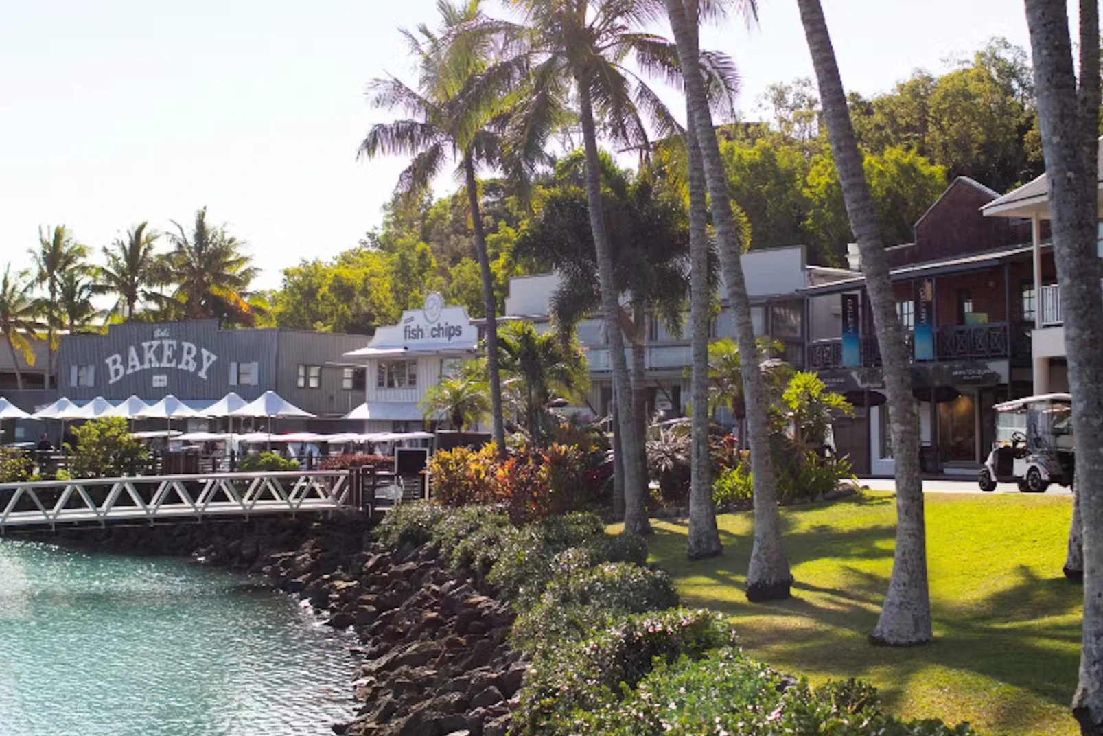 Hamilton Island: Day Cruise from Airlie + Lunch