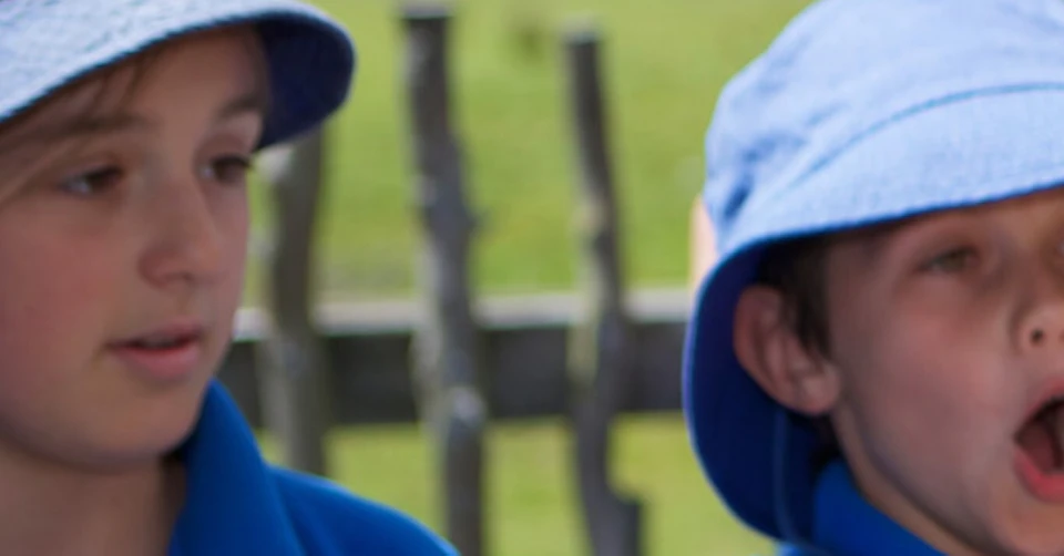 Two children in blue hats and shirts feed leaves to a giraffe at a zoo, with a wooden fence and greenery in the background.