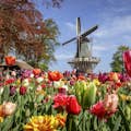 Moulin dans un champ de tulipes