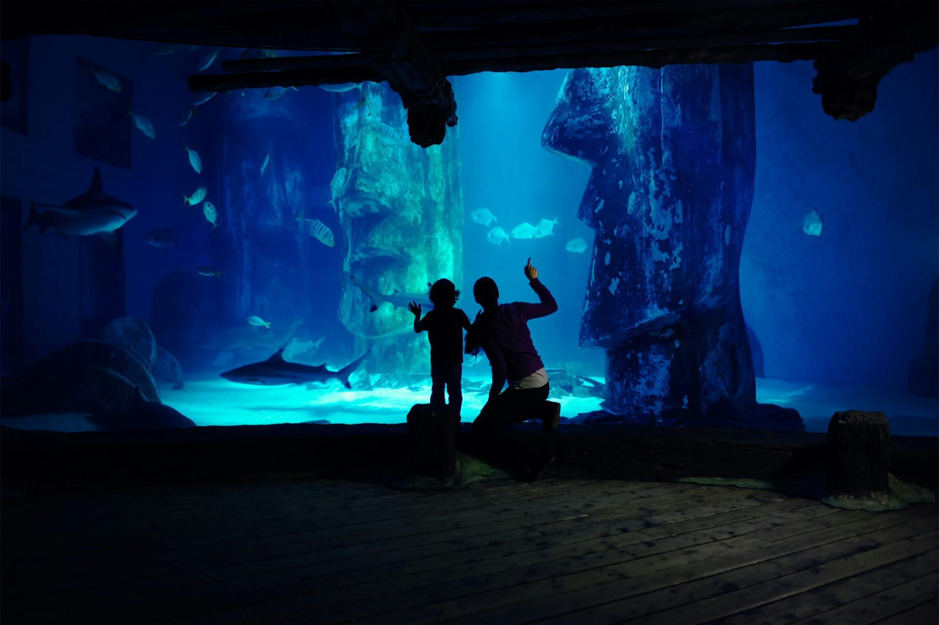 SEA LIFE London: Entry Ticket