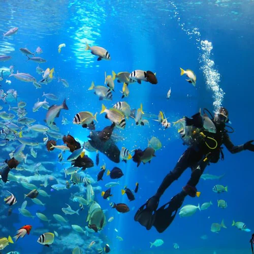 Hurghada: Submarine Tour with Roundtrip Transfer - Photo 3