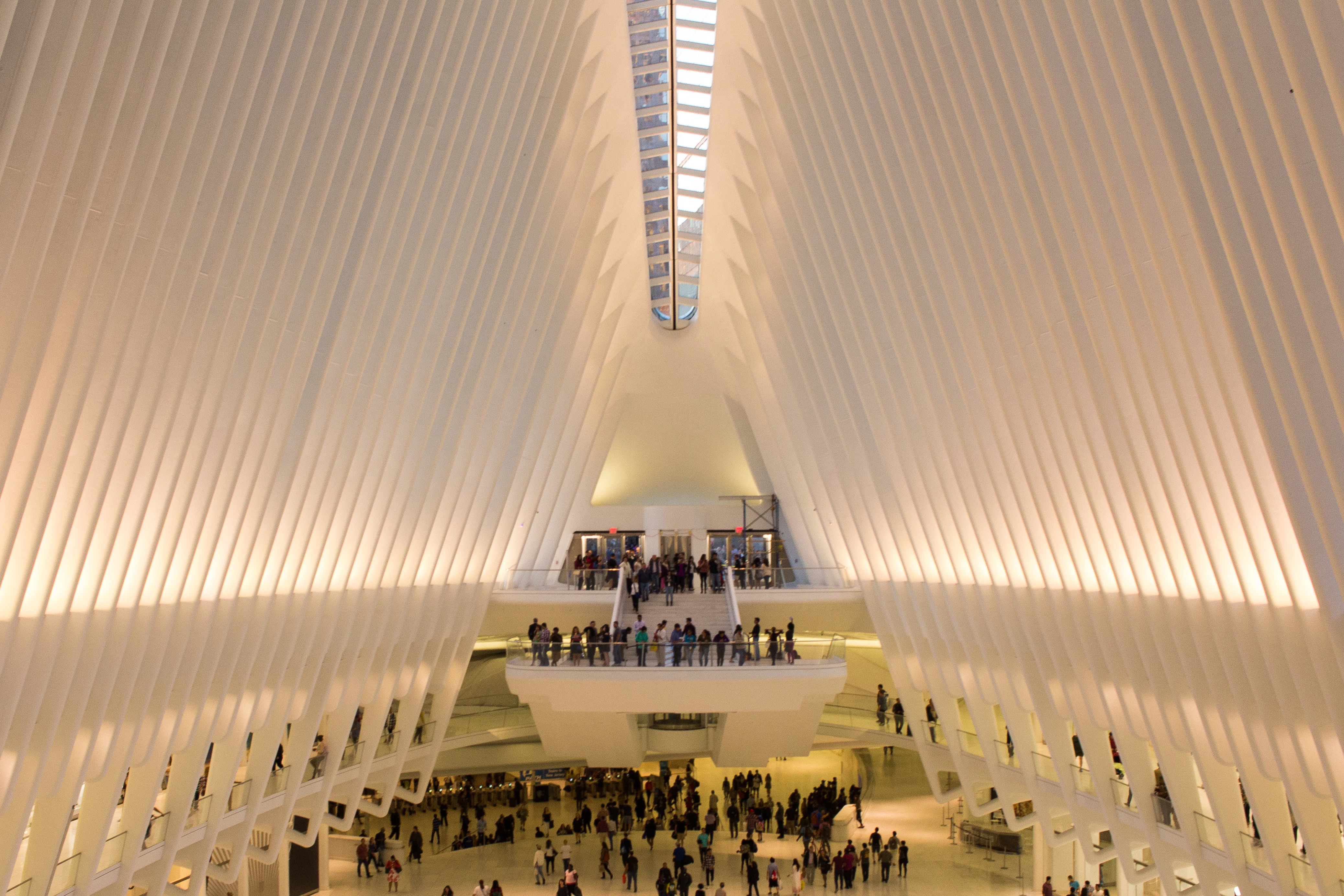 New York: One Day Guided Walking Tour