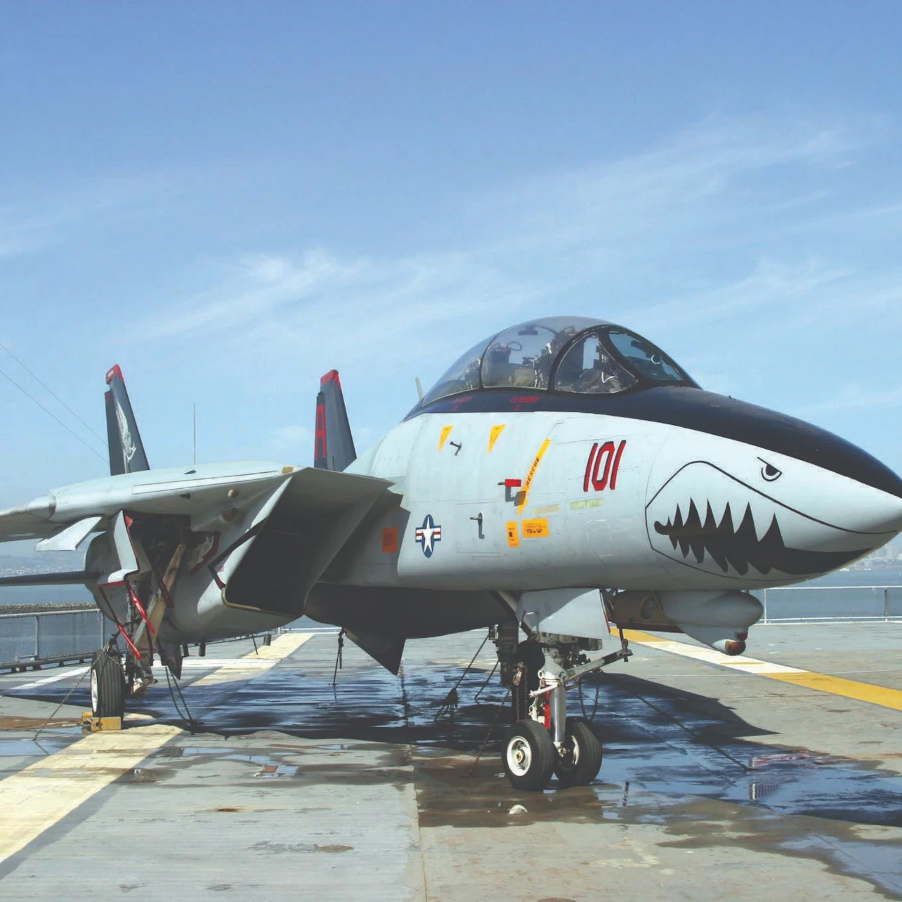 F-14 Tomcat