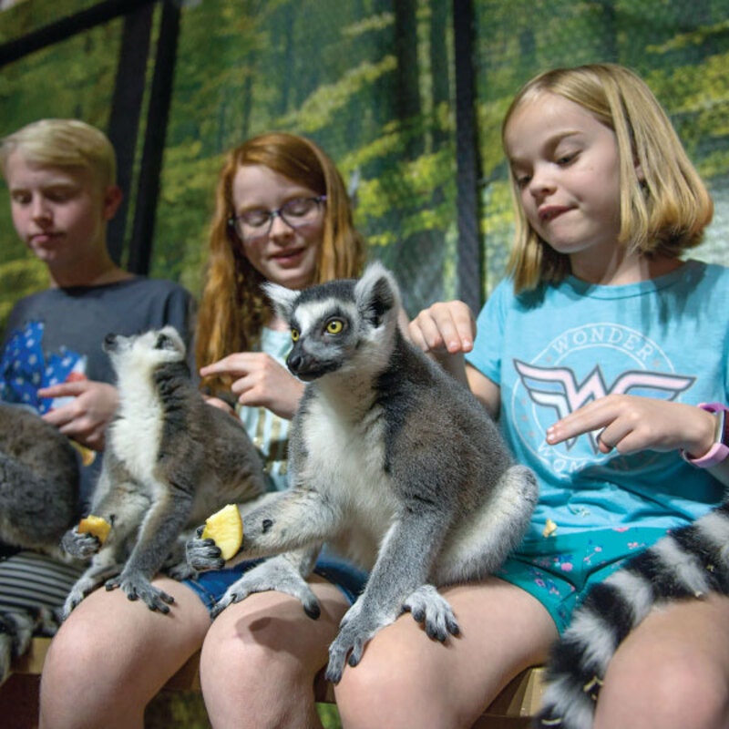 Houston Interactive Aquarium & Animal Preserve