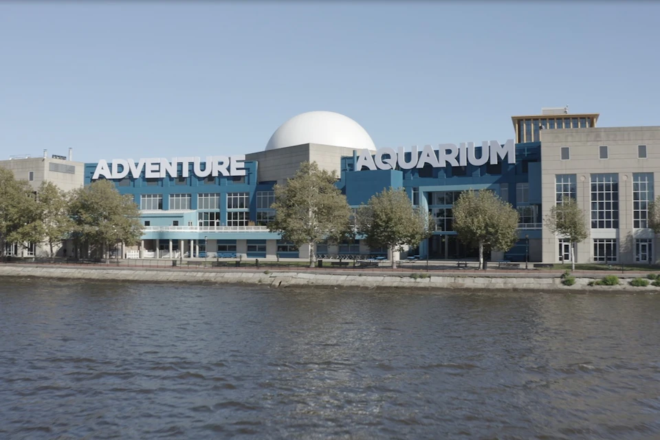 Adventure Aquarium