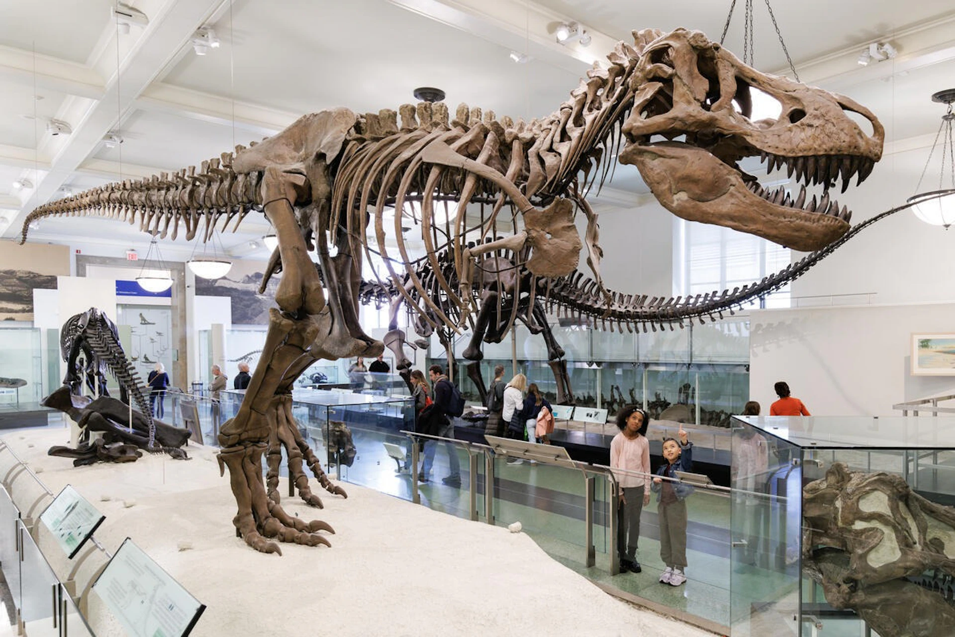 Museum visitors look at a large Tyrannosaurus rex skeleton display, with informational exhibits and other artifacts in the background.