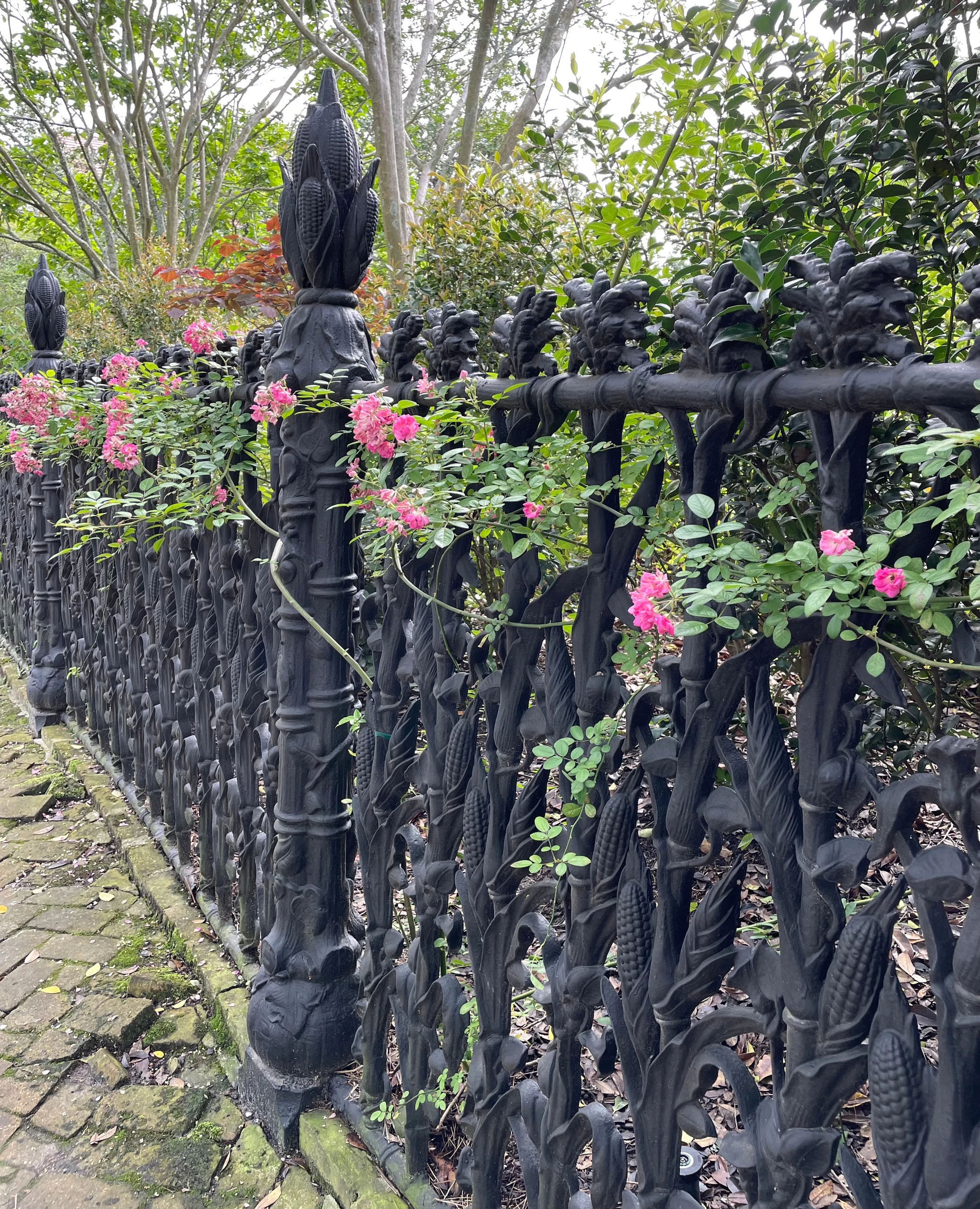 Garden District: Guided Walking Tour