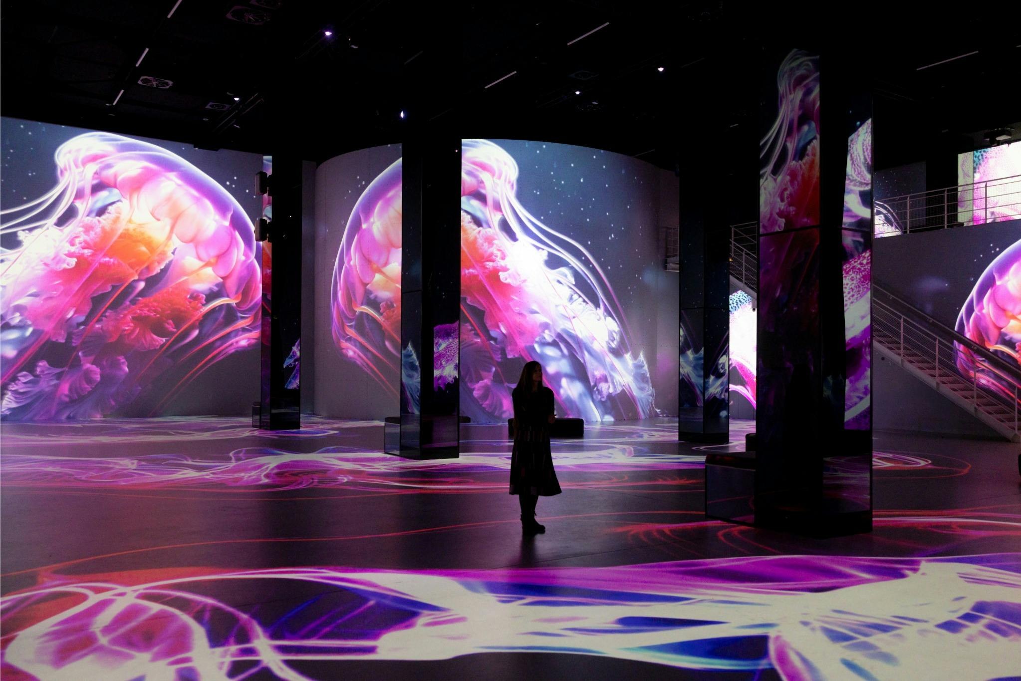 Интерактивные музеи