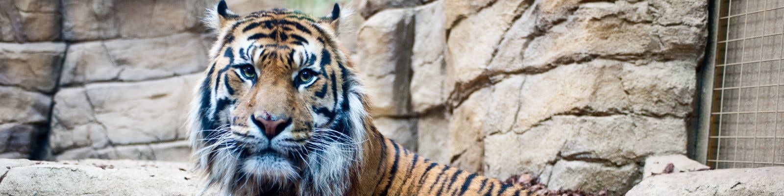 London Zoo