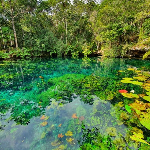 Tulum: Mayan Ruins, Cenote, Snorkeling & Jungle Adventure Tour + Lunch