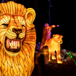Illuminated, glowing lion statues at night; one lion roars, another walks, while an elephant raises its trunk in the background.