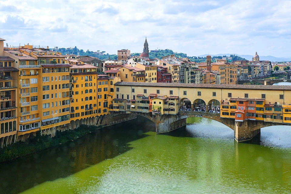 Discover the highlights of Florence with an expert guide.